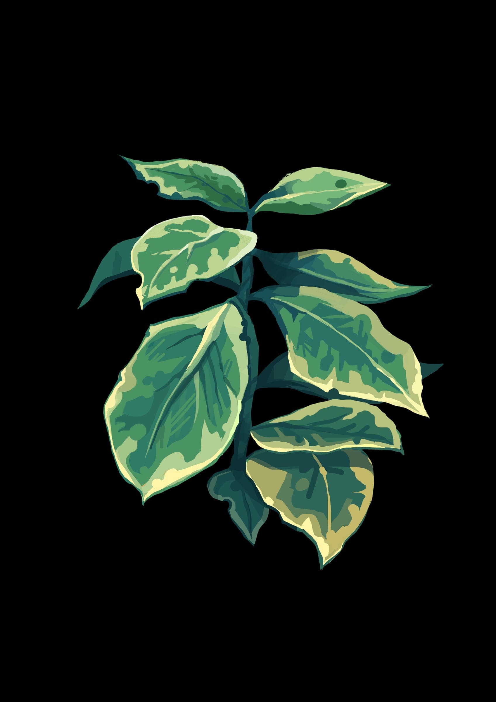 Illustration — image 9