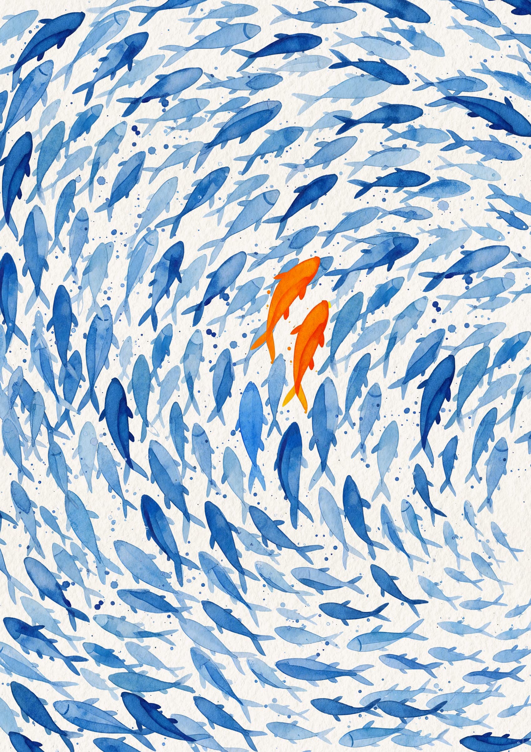 Illustrations (image 11)