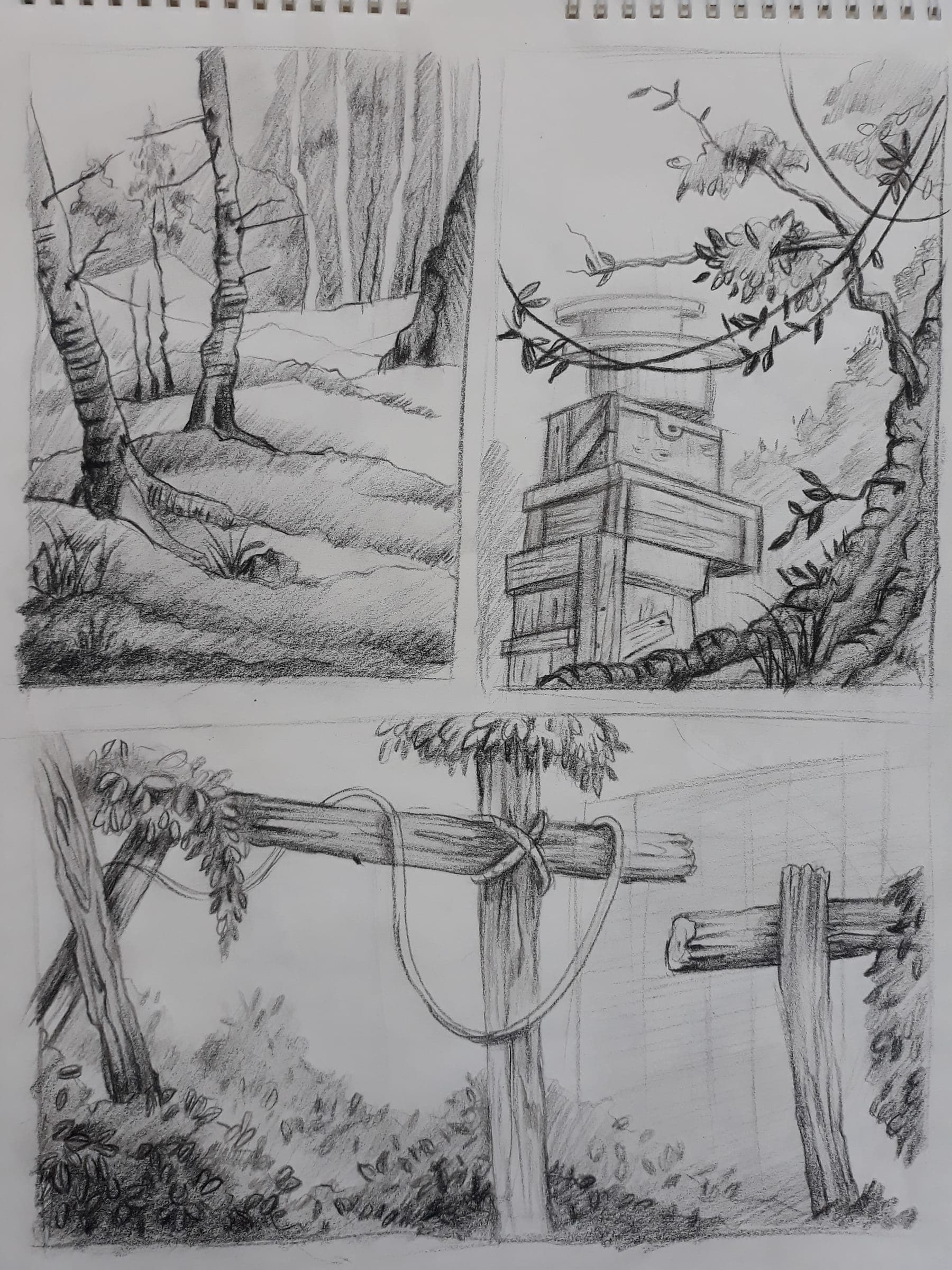 Sketches — image 14